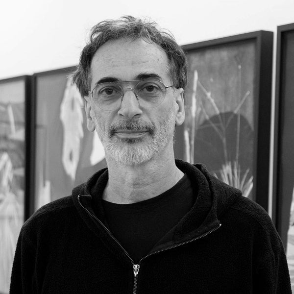 Luiz Zerbini
