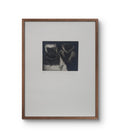 Ana Maria Pacheco - King and Queen 1978