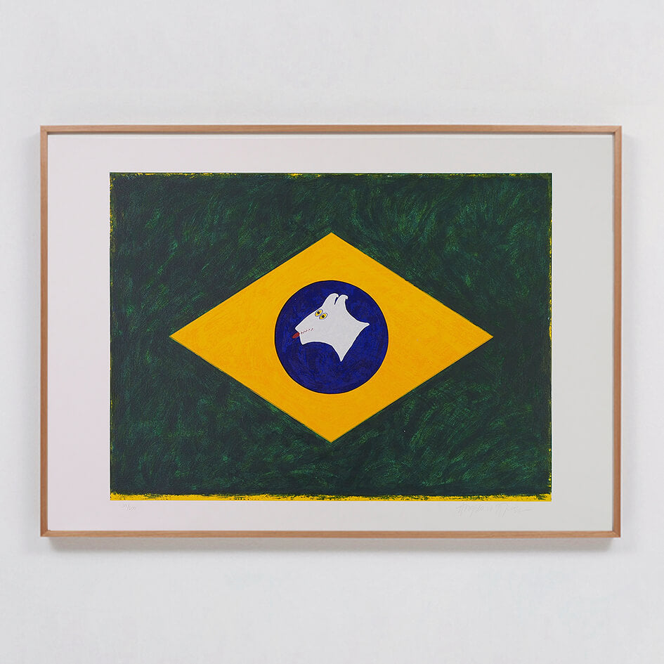 Angelo de Aquino - Rex Brazilian Flag