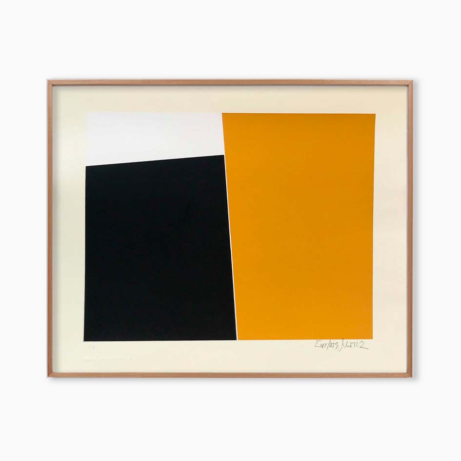 Carlos Muniz - Composição V