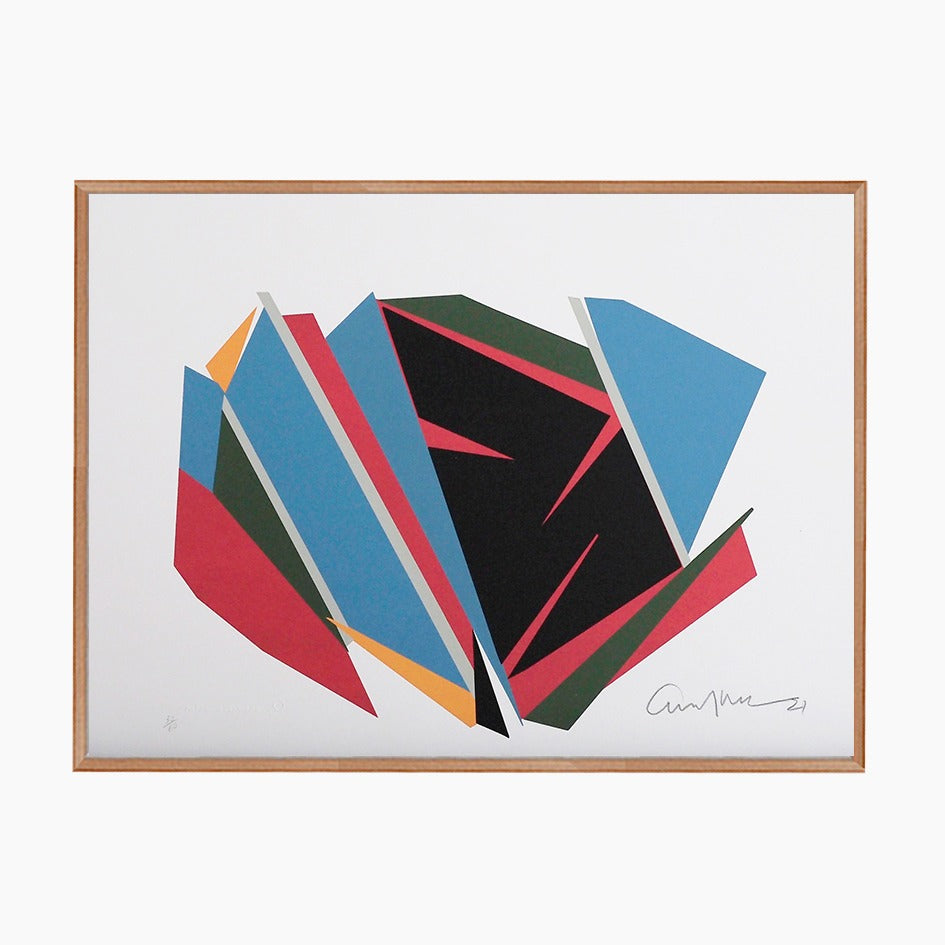 Emanoel Araújo - Color 1