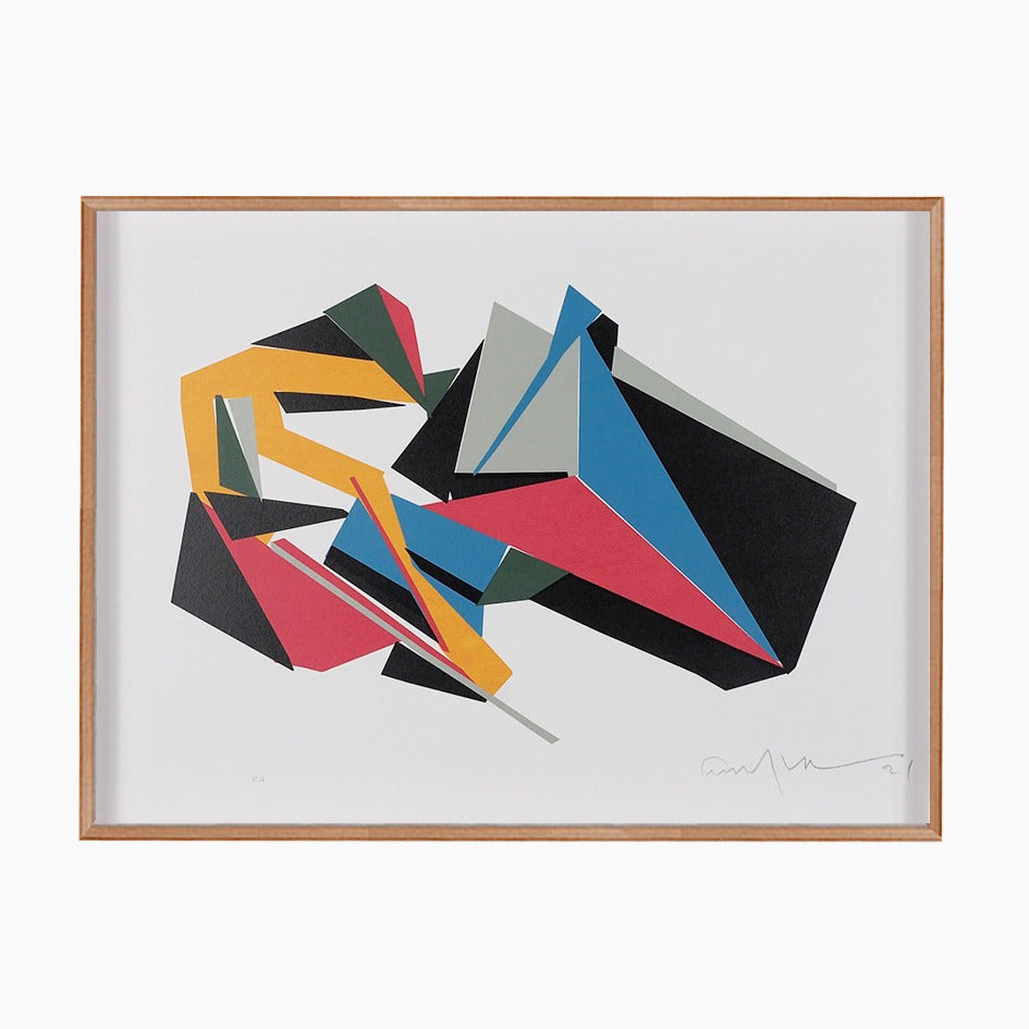 Emanoel Araújo - Color 6