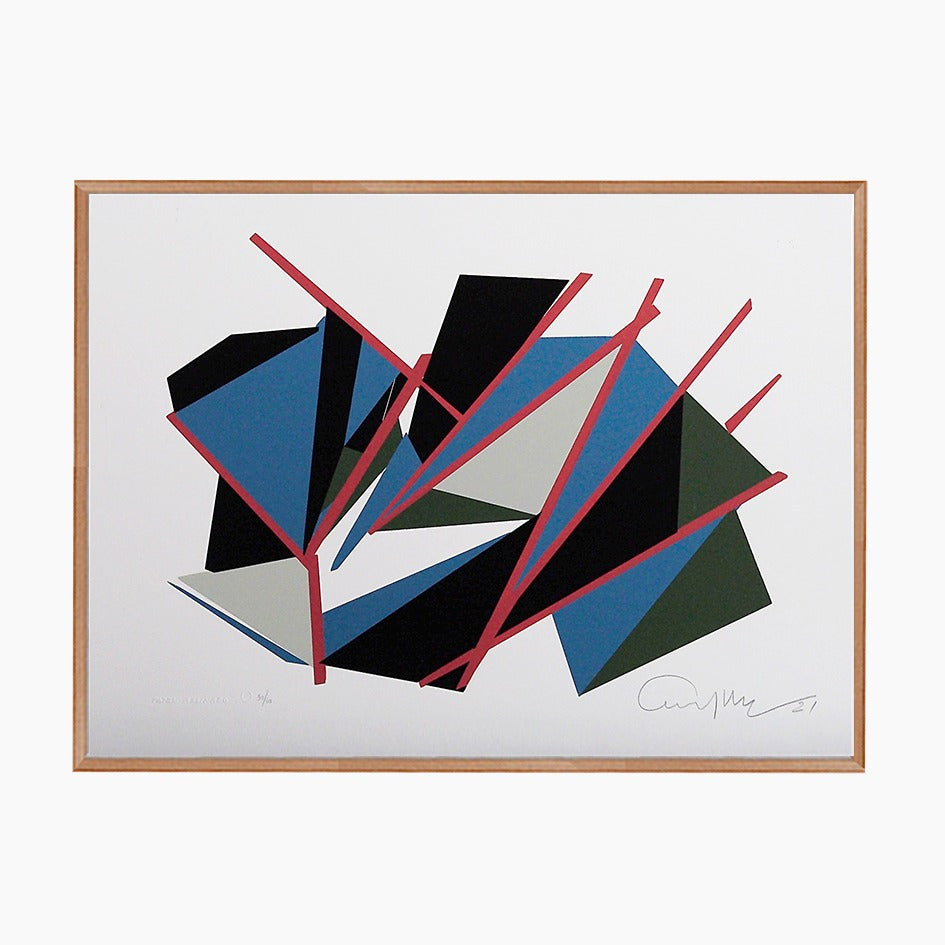 Emanoel Araújo - Color 7