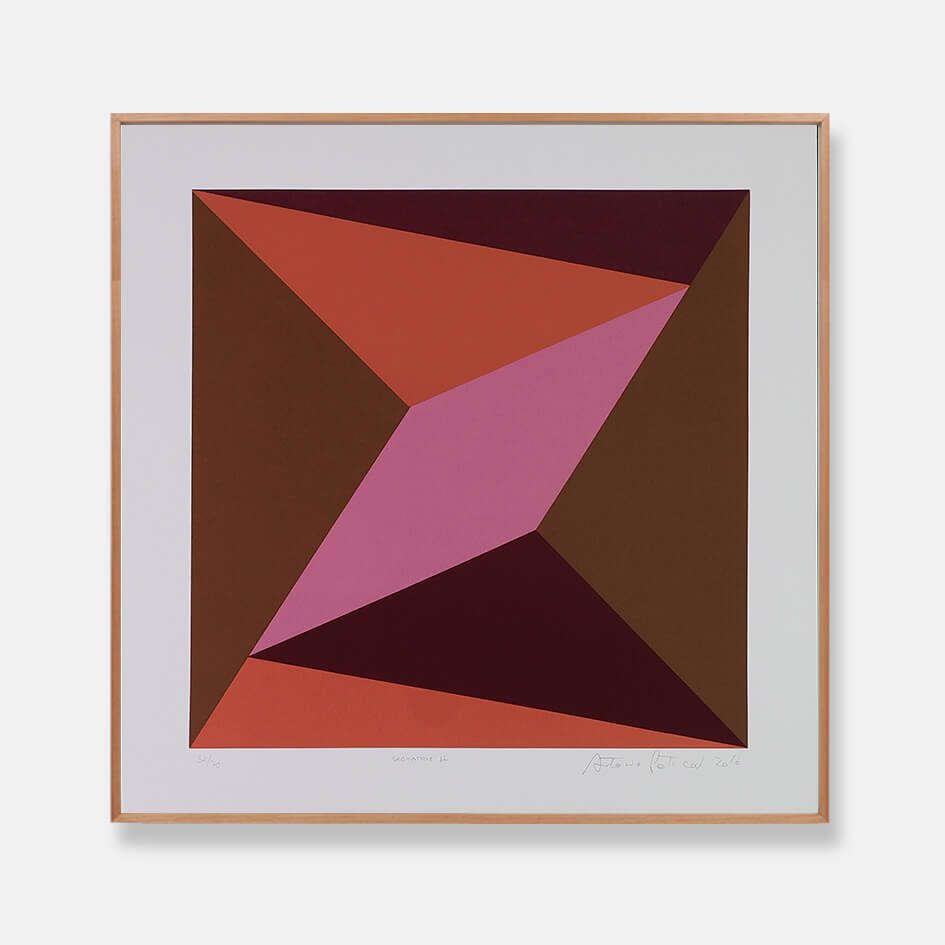 Antonio Peticov - Geomatrix II