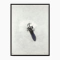 Regina Silveira - Voodoo Series I