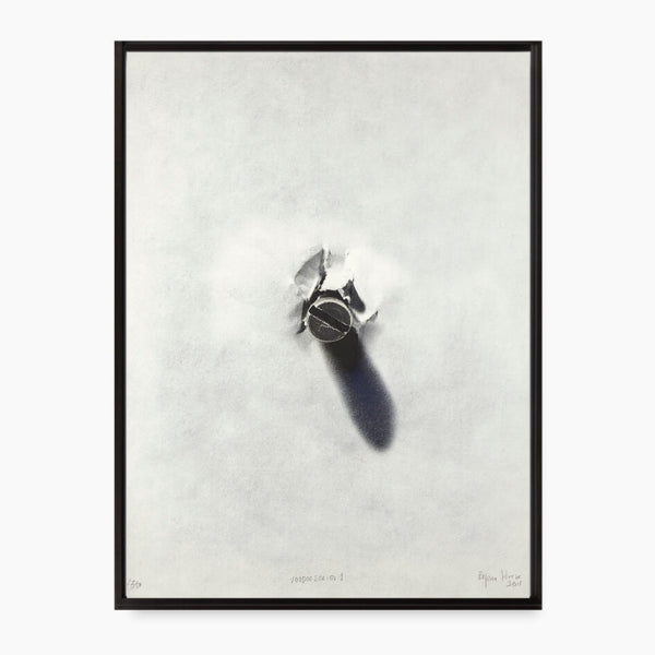 Regina Silveira - Voodoo Series I