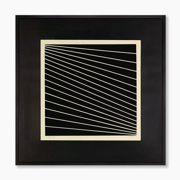 Luiz Sacilotto - Optical VII