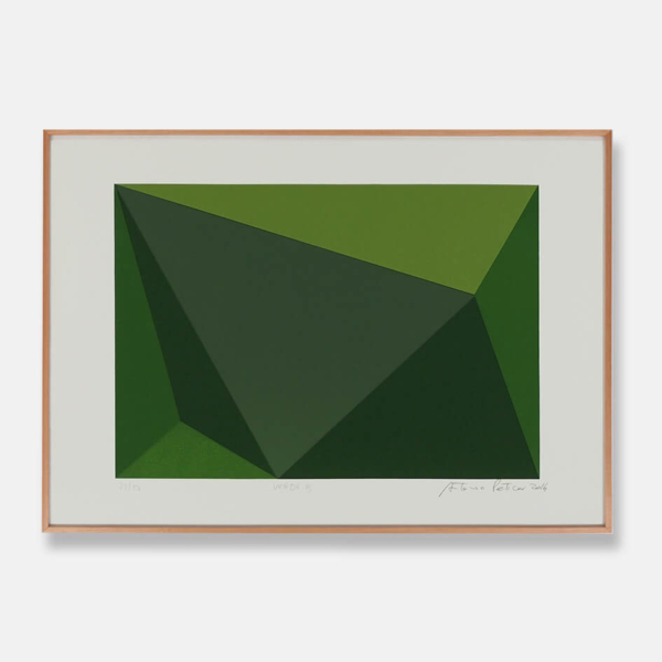 Antonio Peticov - Verde B