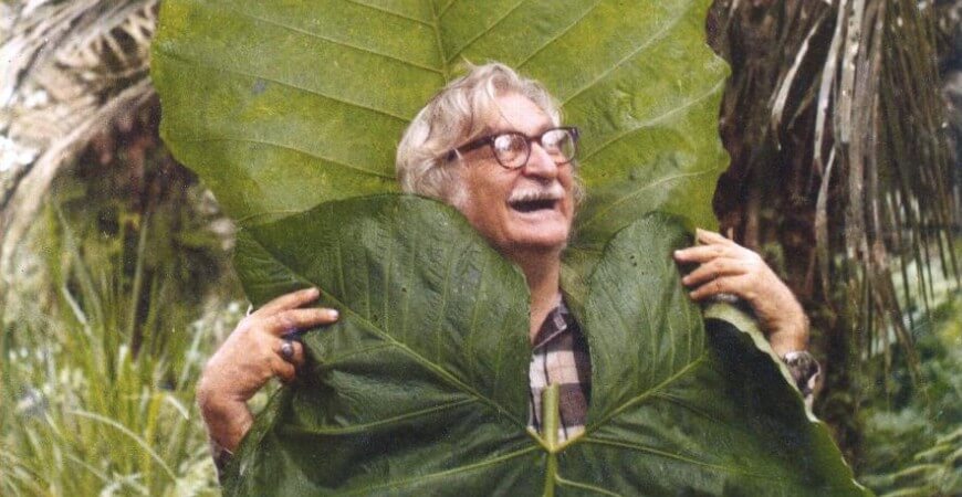 Burle Marx