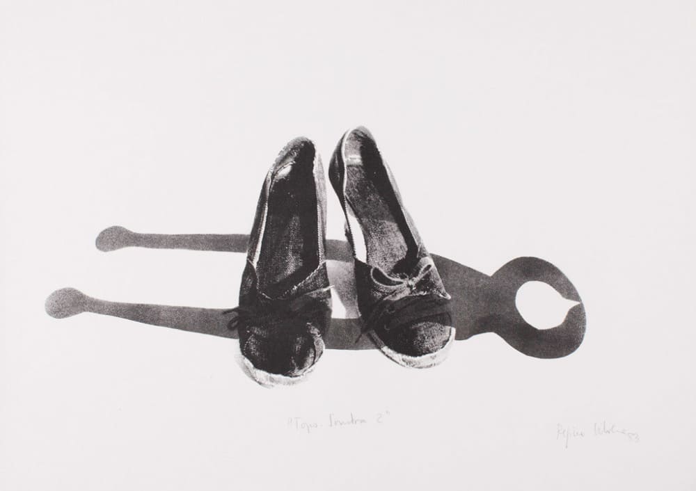 Reprodução de Toposombra II, Litografia de Regina Silveira.